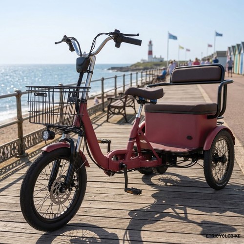 Folding electric tricycle - 18'',