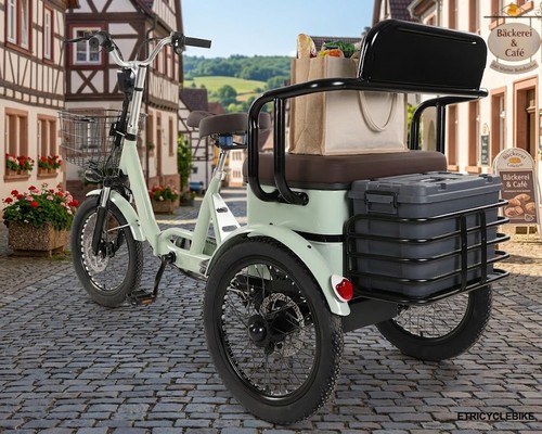 Electric tricycle for adults - electric,